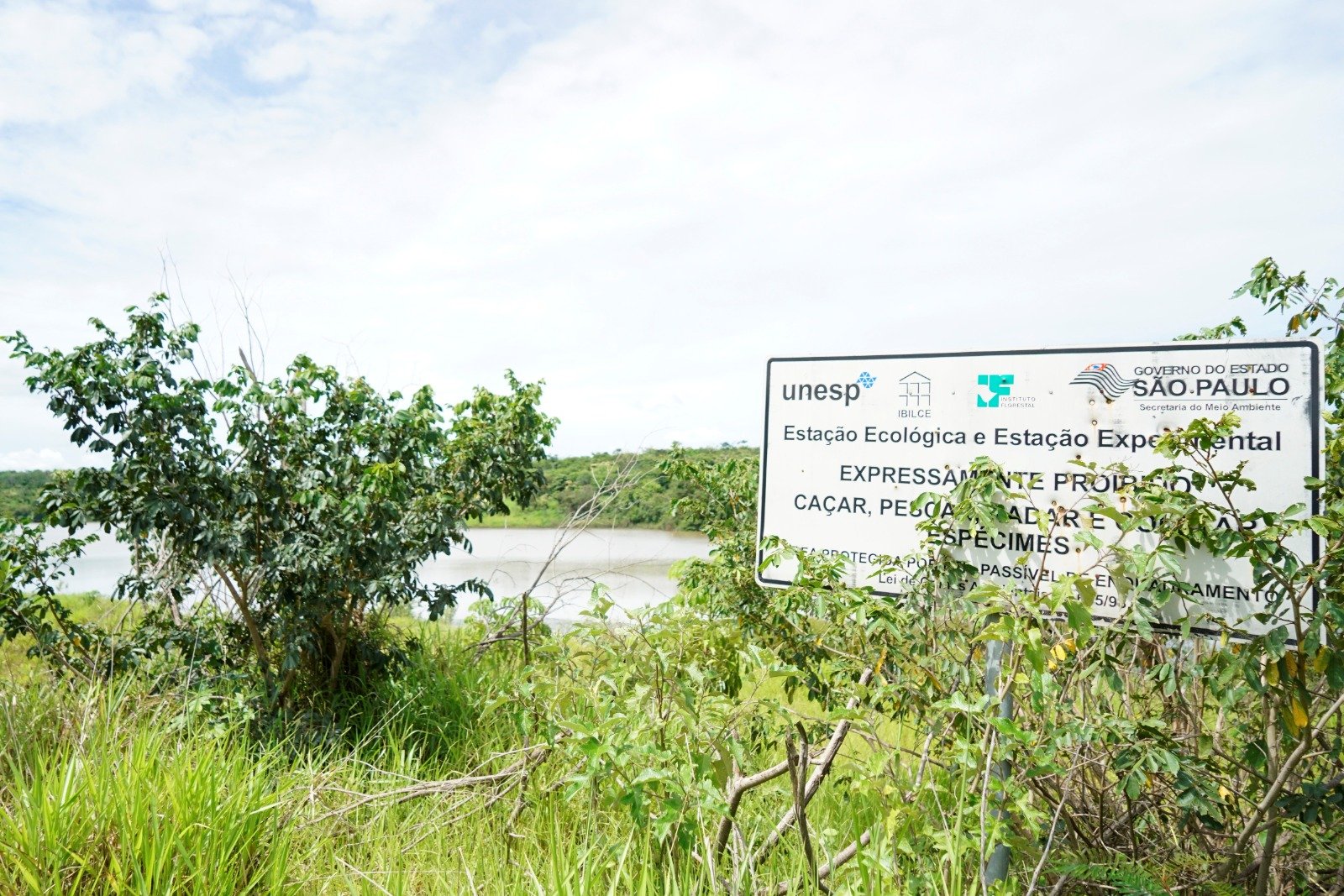 Estação Ecológica do Noroeste Paulista abriga centenas de espécies ameaçadas de extinção