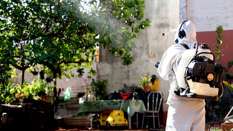 Cresce o número de infestação do mosquito da dengue em Rio Preto
