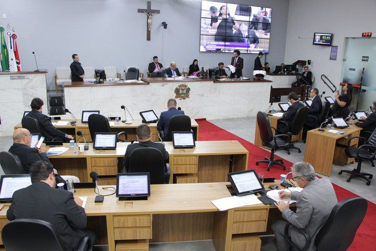 Câmara de Rio Preto vota crédito adicional de R$ 3,4 milhões para plantio e manutenção de árvores nativas
