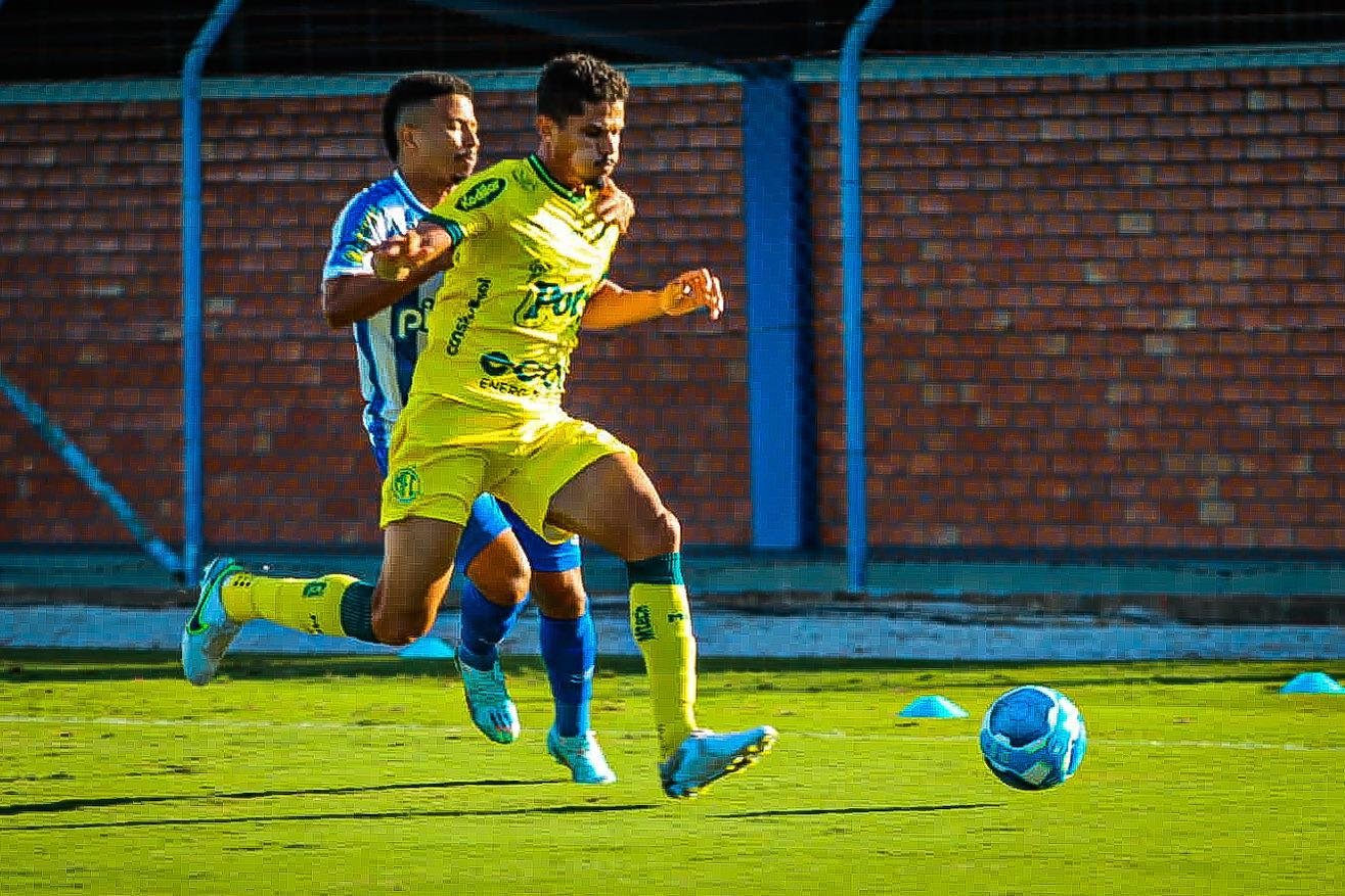 No duelo de Leões, o Mirassol é superado pelo Avaí