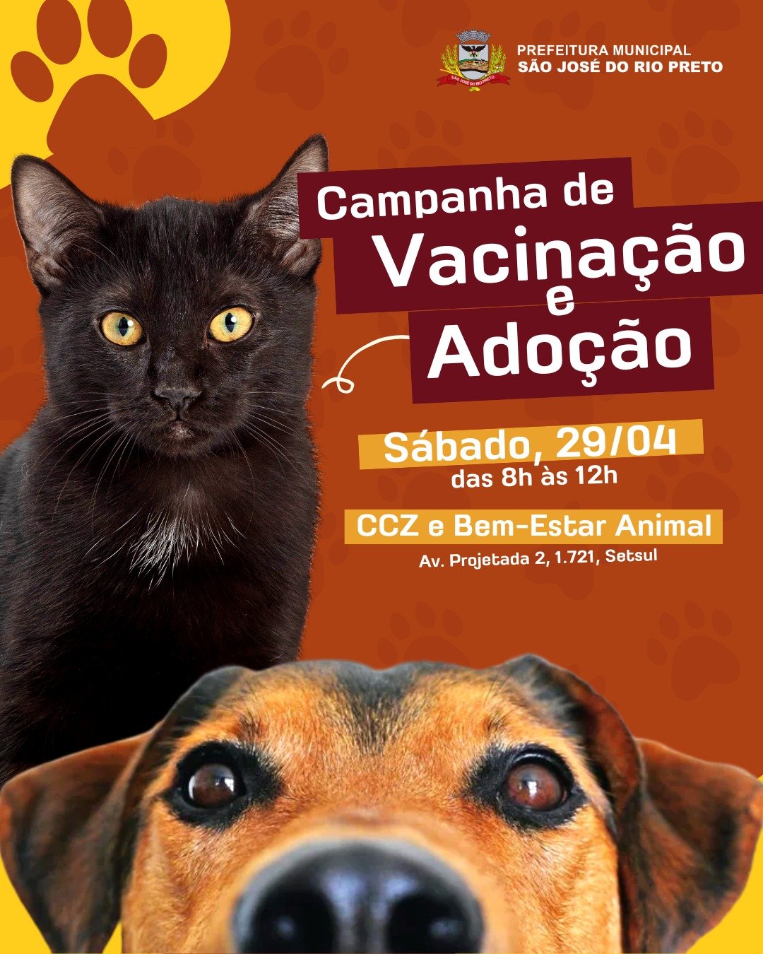 Bem-Estar Animal promove vacinação antirrábica e campanha de adoção de cães e gatos