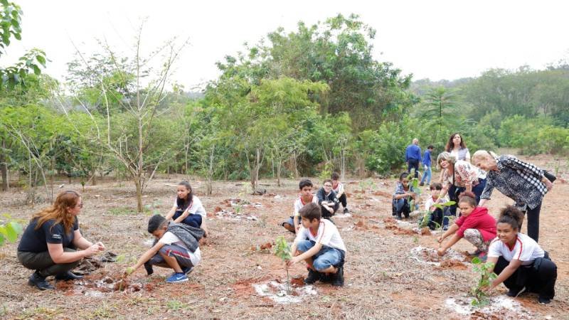 Semae faz o plantio de 41 mil árvores na Estação Ecológica do Noroeste Paulista