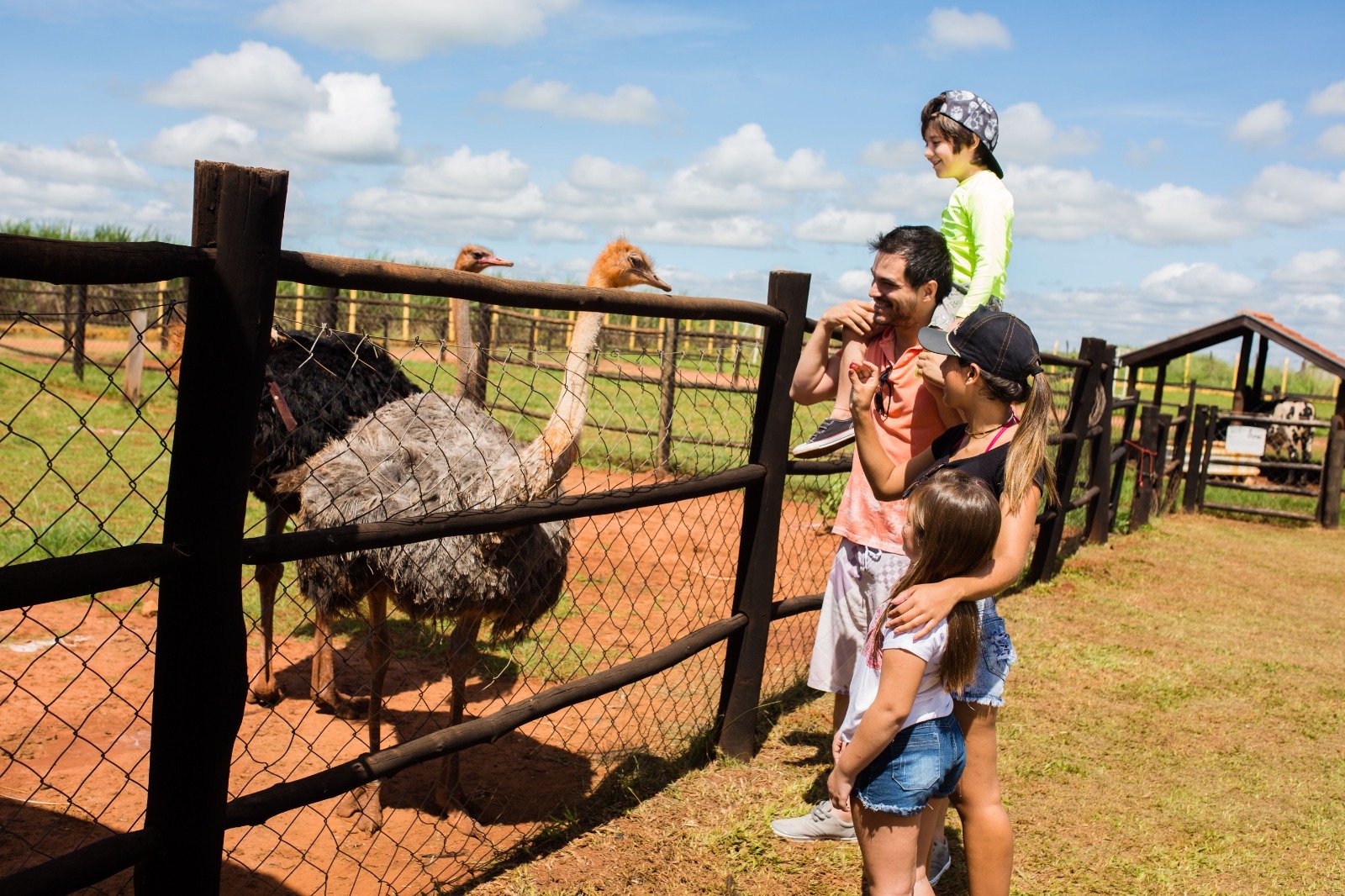 Luau de Tochas é destaque na programação do Barretos Country Park