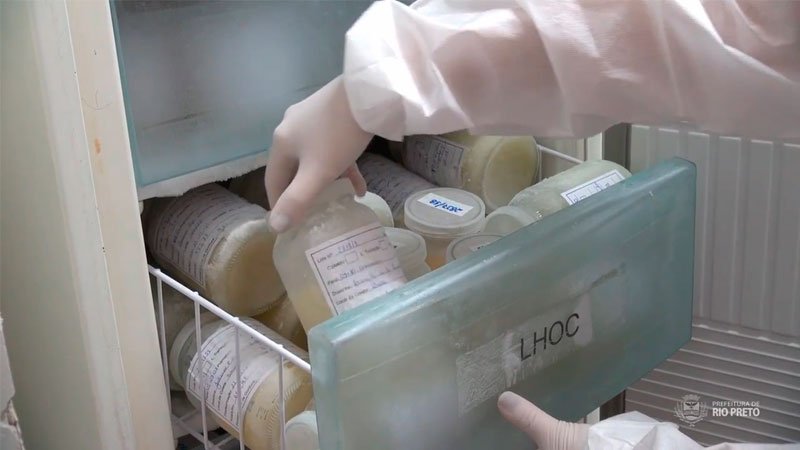 Ações de saúde marcam a Semana Mundial de Doação de Leite Materno em Rio Preto