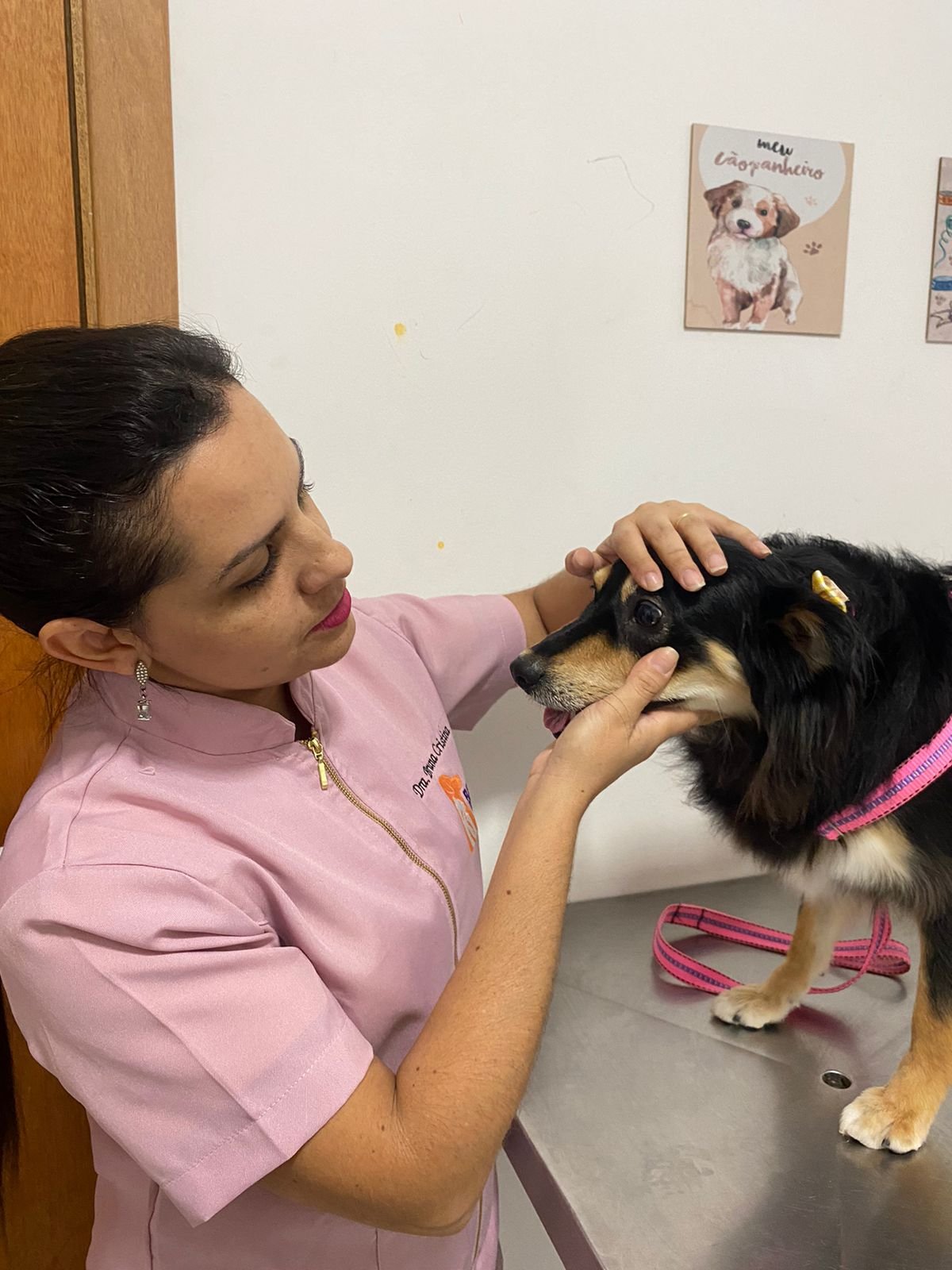 Clínica Pet de Rio Preto realiza campanha de prevenção de doença oculares