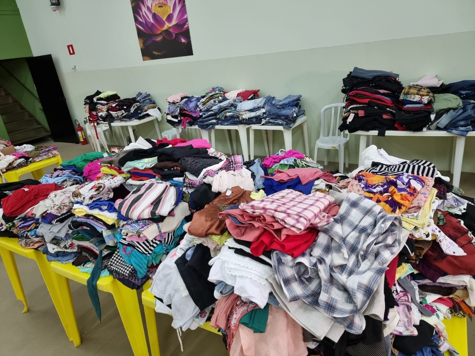 Cuidadora de pet promove bazar para arrecadar fundos para seu abrigo em Rio Preto