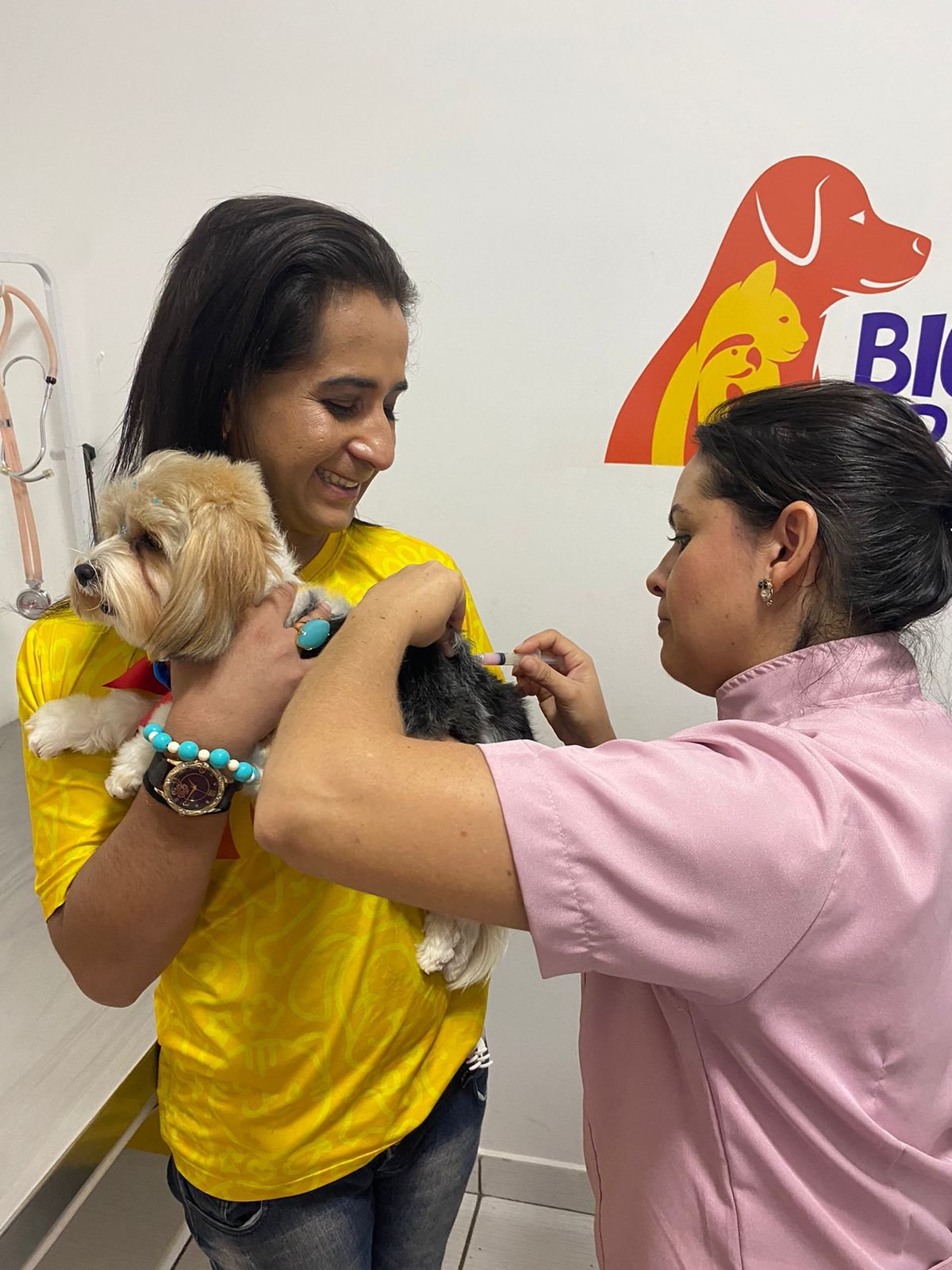 Campanha Julho Dourado alerta para prevenção de doenças graves dos pets