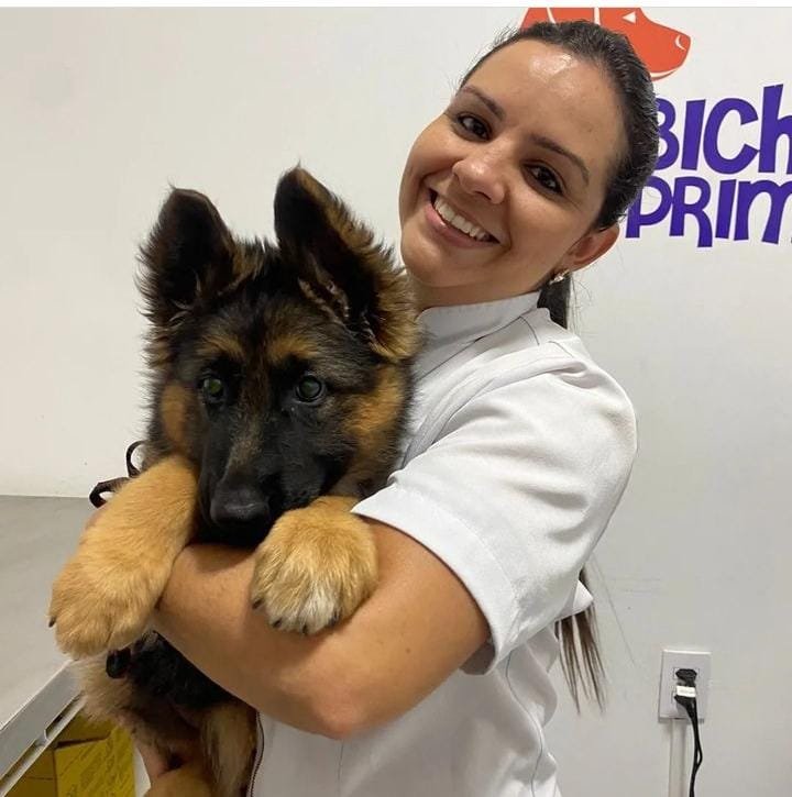 Novembro também é mês de cuidar da saúde dos pets