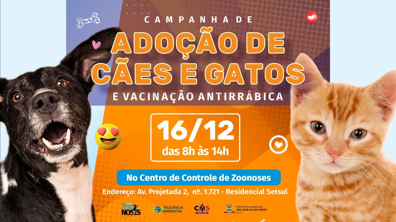 Centro de Controle de Zoonoses promove feira de adoção e vacinação antirrábica