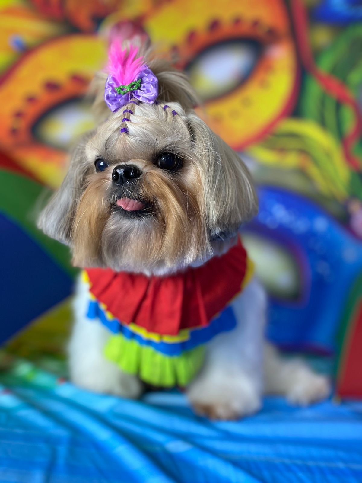 Procura por banho e tosa na época do Carnaval tem aumento de 20% nas lojas especializadas em Rio Preto