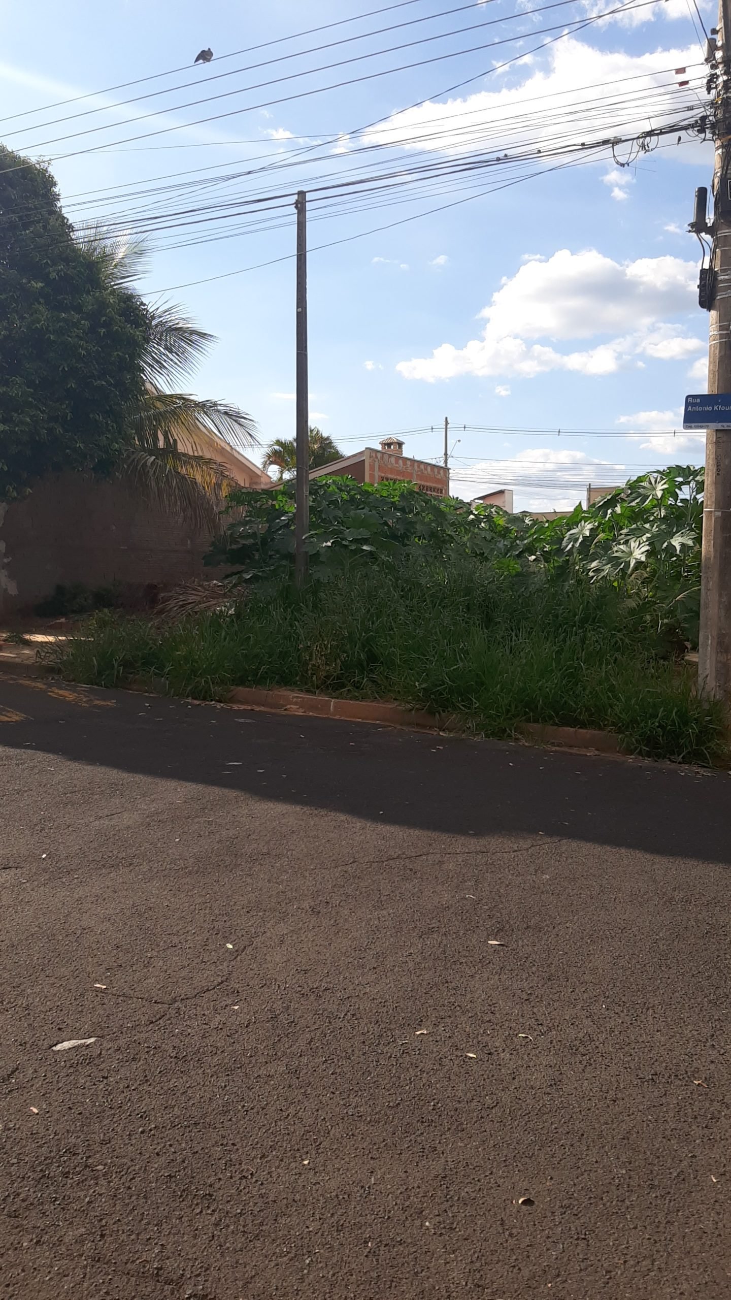 Distrito de Talhado promove mais um mutirão de limpeza