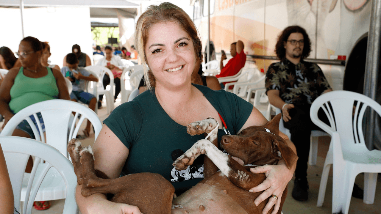 Mais de 250 cães são castrados em dois dias de mutirão em Rio Preto