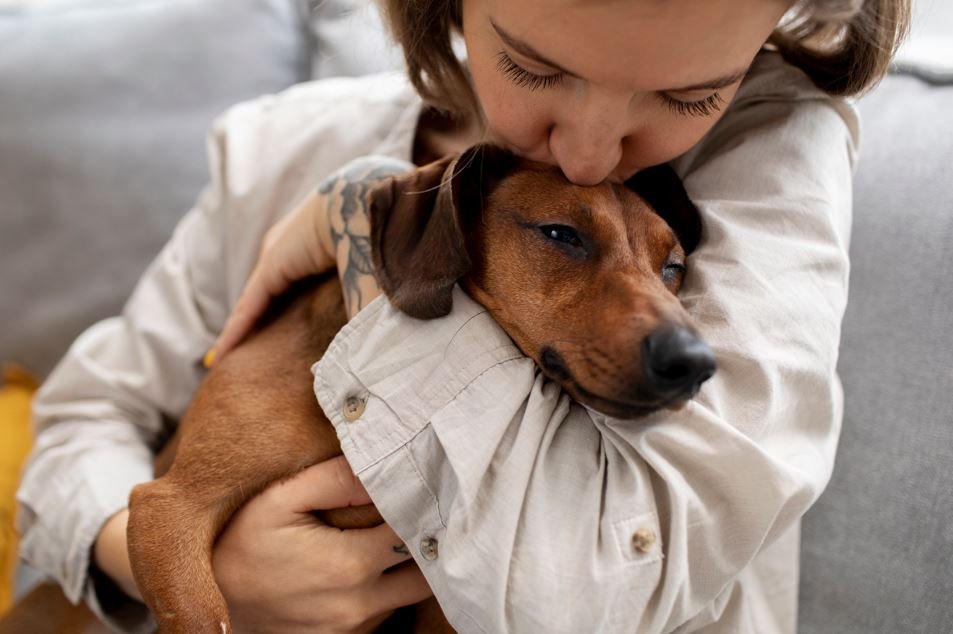 Feira de adoção de pets acontece neste sábado no Plaza Avenida