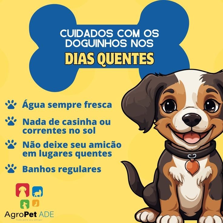 O verão e o cuidado com os pets