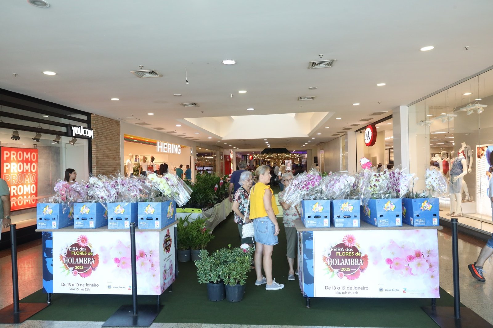 38ª Feira das Flores de Holambra vai até domingo em Rio Preto
