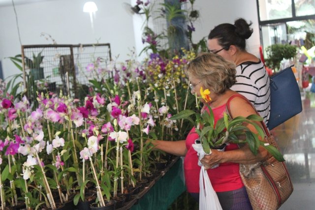 Feira de flores traz um pedacinho de Holambra para o Riopreto Shopping
