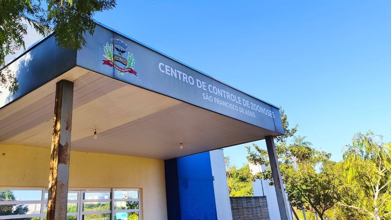 Zoonoses realiza neste sábado vacinação e adoção de pets