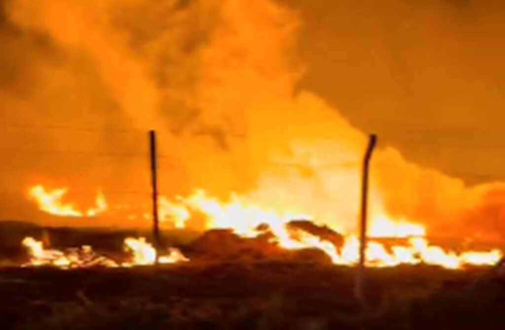 Homem é preso suspeito de provocar incêndios às margens da BR-153 em Rio Preto