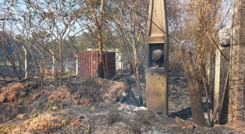 Incêndio em pastagem atinge ferro-velho em Rio Preto