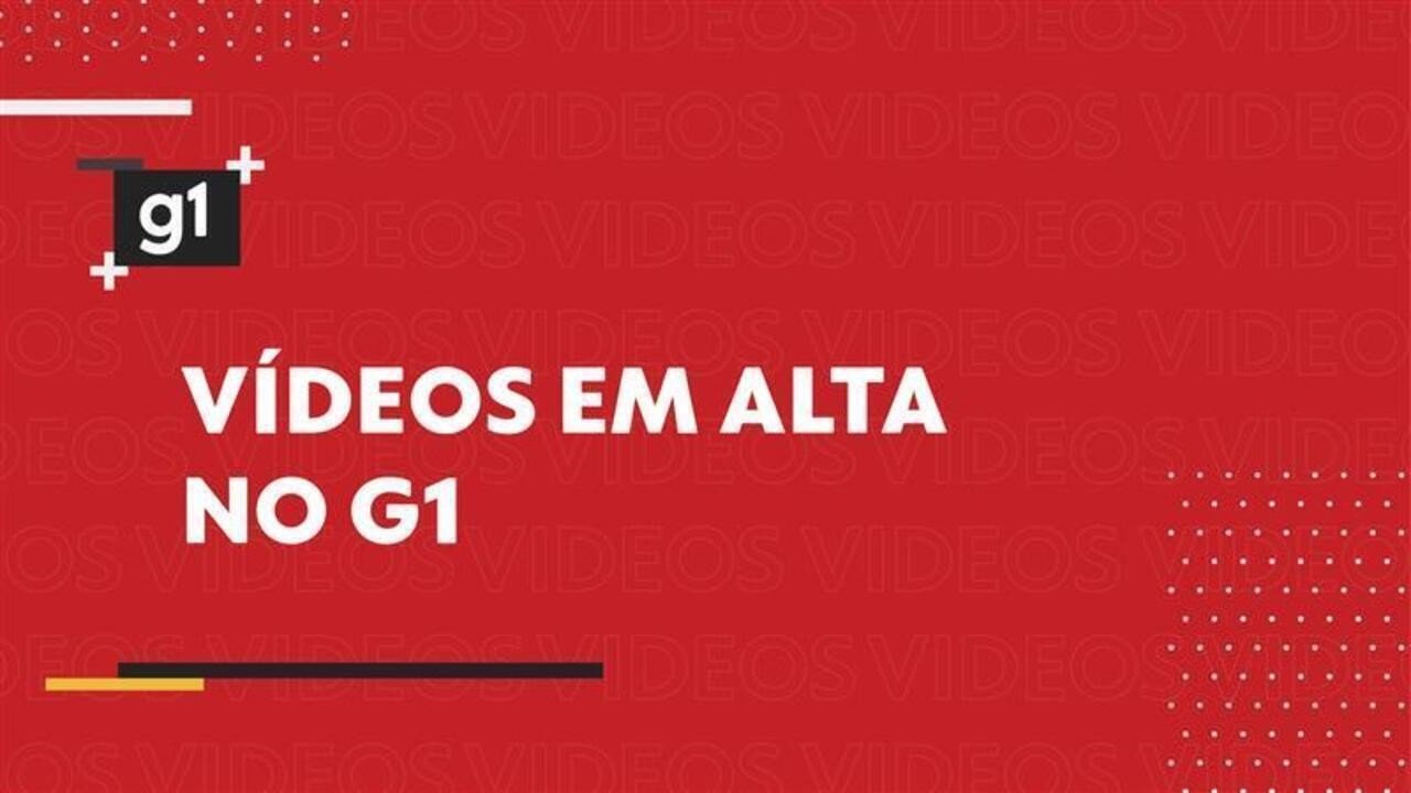 Cachorro com Câncer Sofre Maus-Tratos e Tutor é Preso em Rio Preto