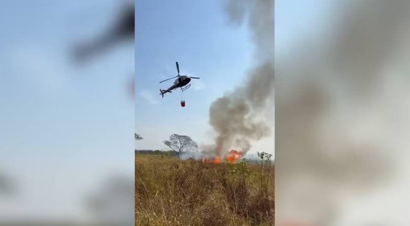 Governo do Estado monta força tarefa para combater incêndio em área do antigo IPA