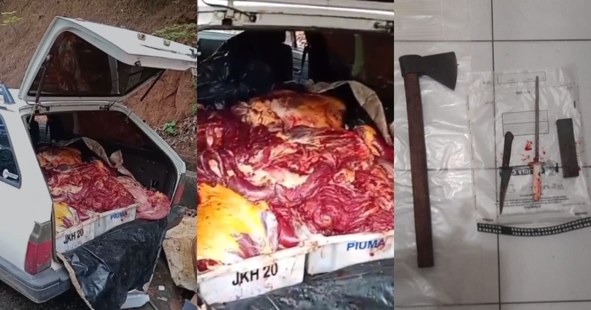 Churrasquinho Macabro: Presos por Vender Carne de Cavalo como Bovina no ES