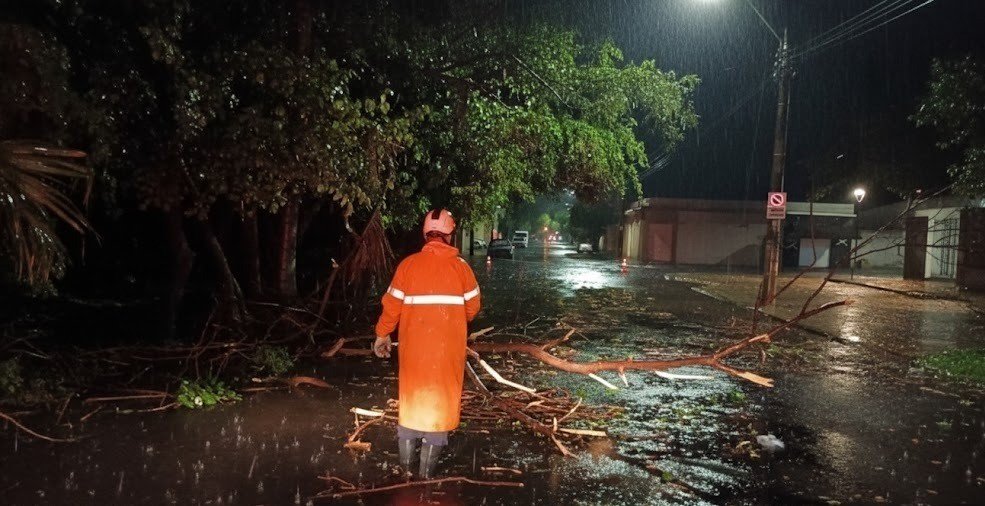 Temporal Devasta Araçatuba: Árvore Atinge UBS e Defesa Civil Atende Emergências
