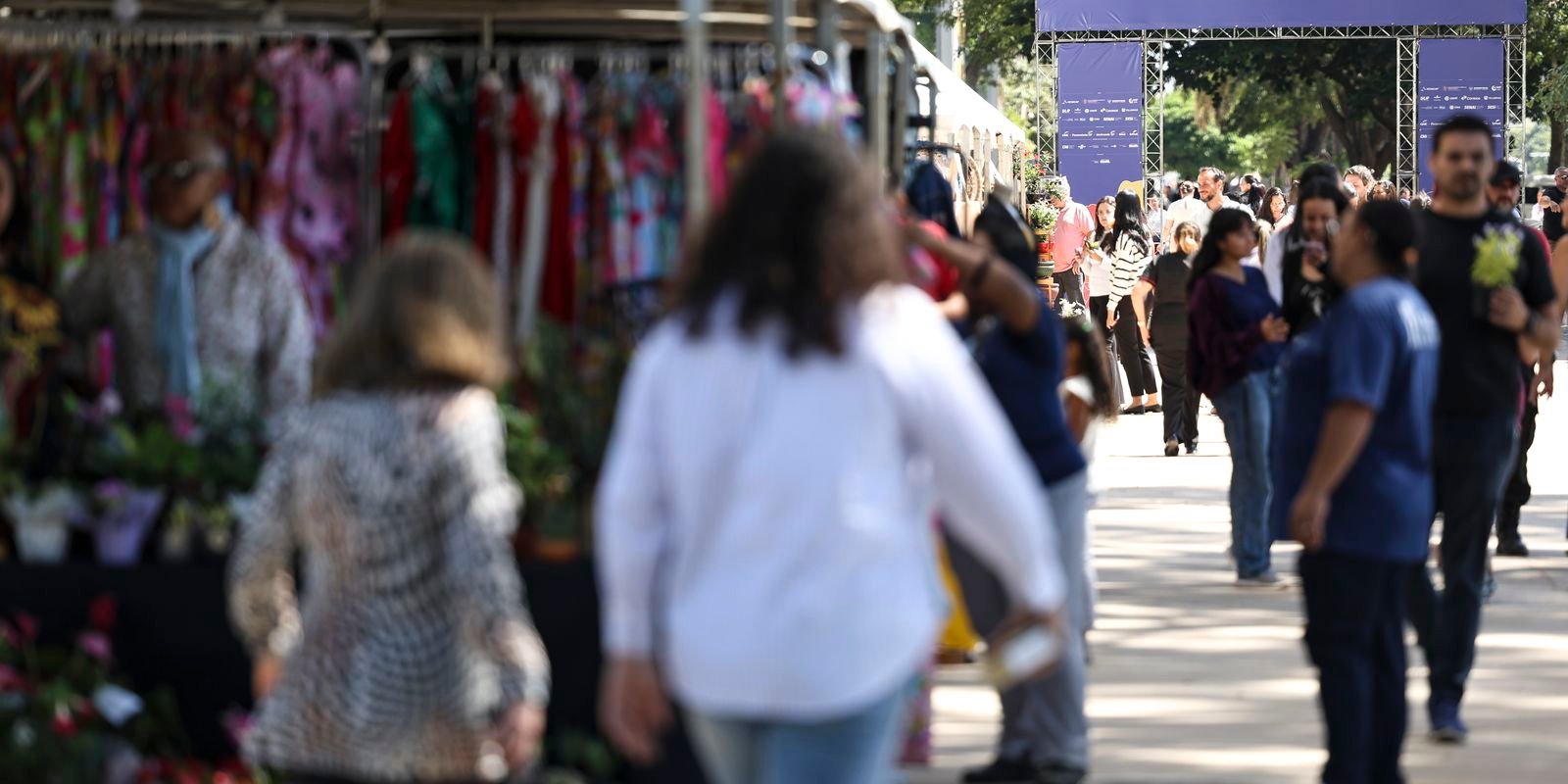Desemprego no Brasil Atinge Mínima Histórica, Aponta Pesquisa Recente