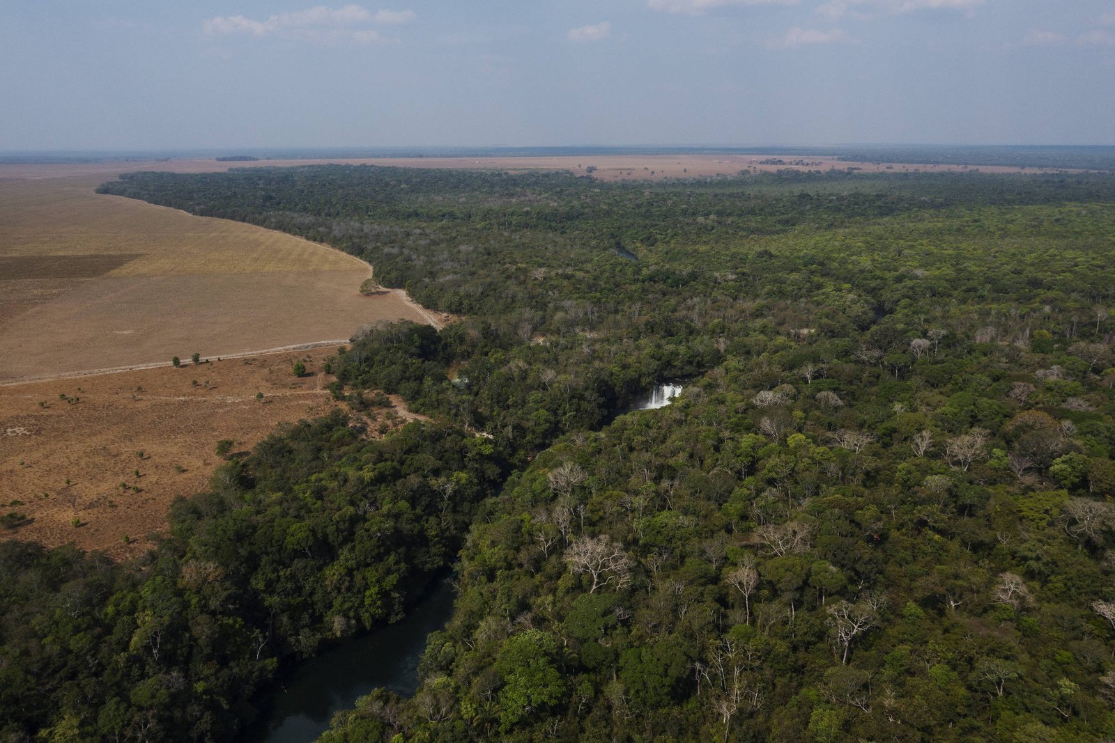 Mato Grosso aciona STF contra demarcação de terra indígena anunciada por Lula na COP30