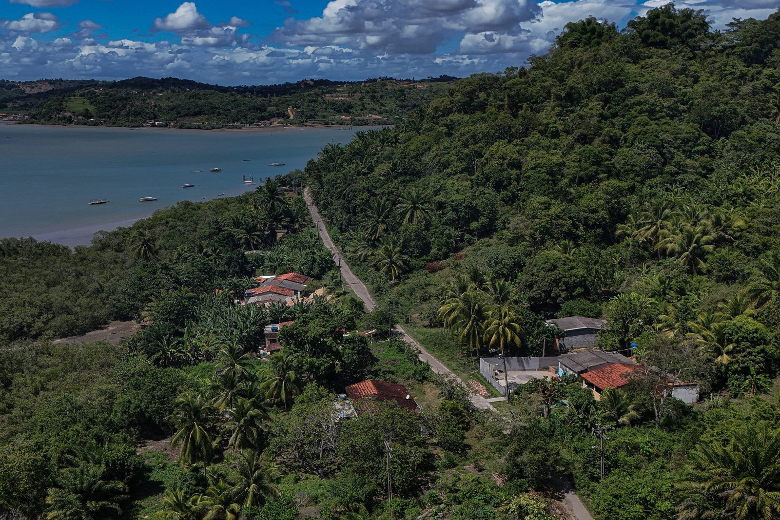Estudo revela que questão racial é ignorada na luta contra crise climática