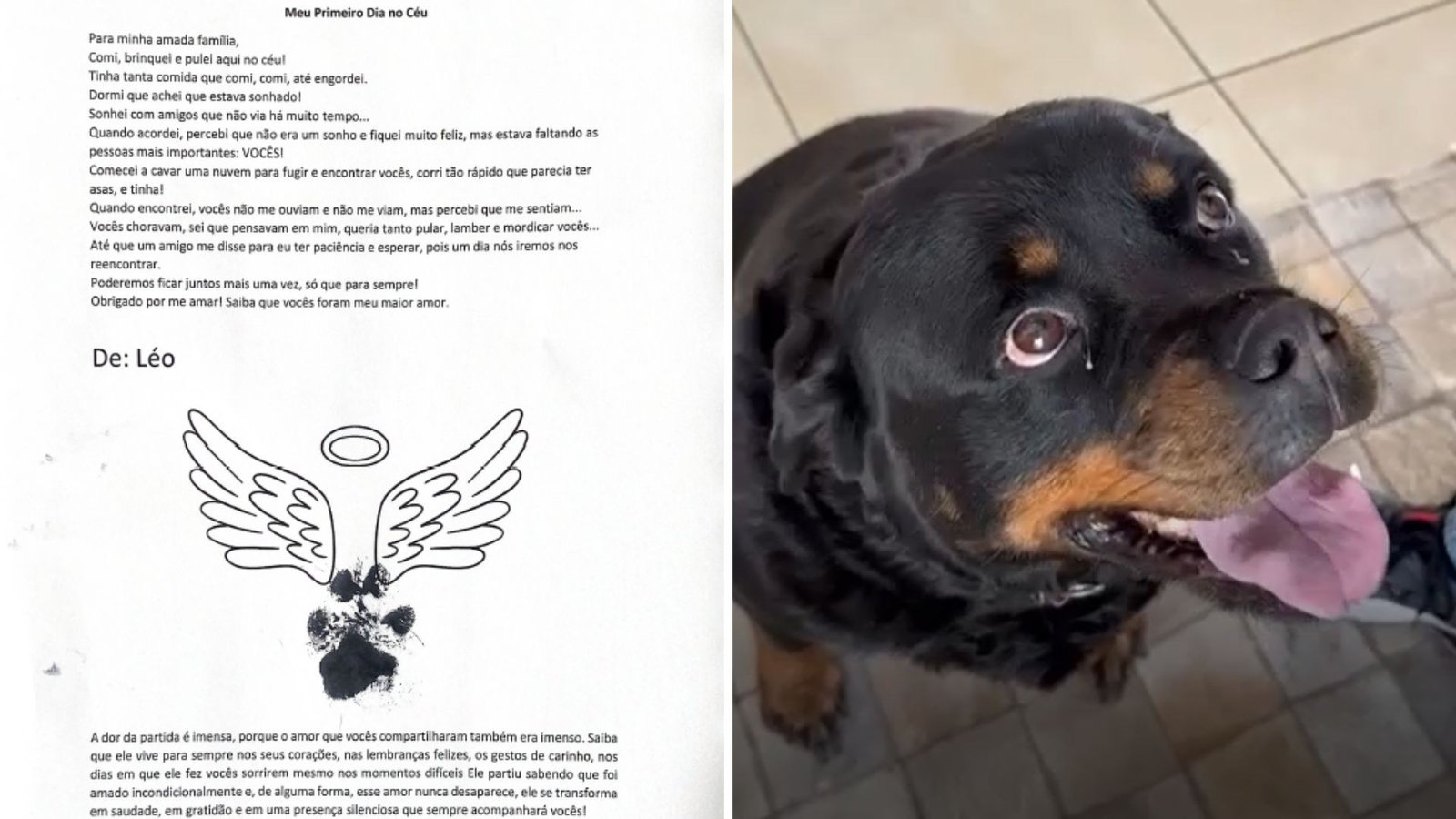 Clínica Ameniza Luto de Tutores com Cartões e Lembranças de Pets Falecidos