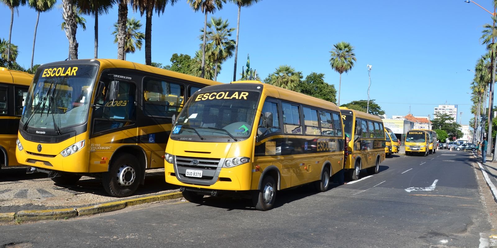 Lei Promete Mais Recursos para Alimentação e Transporte de Alunos
