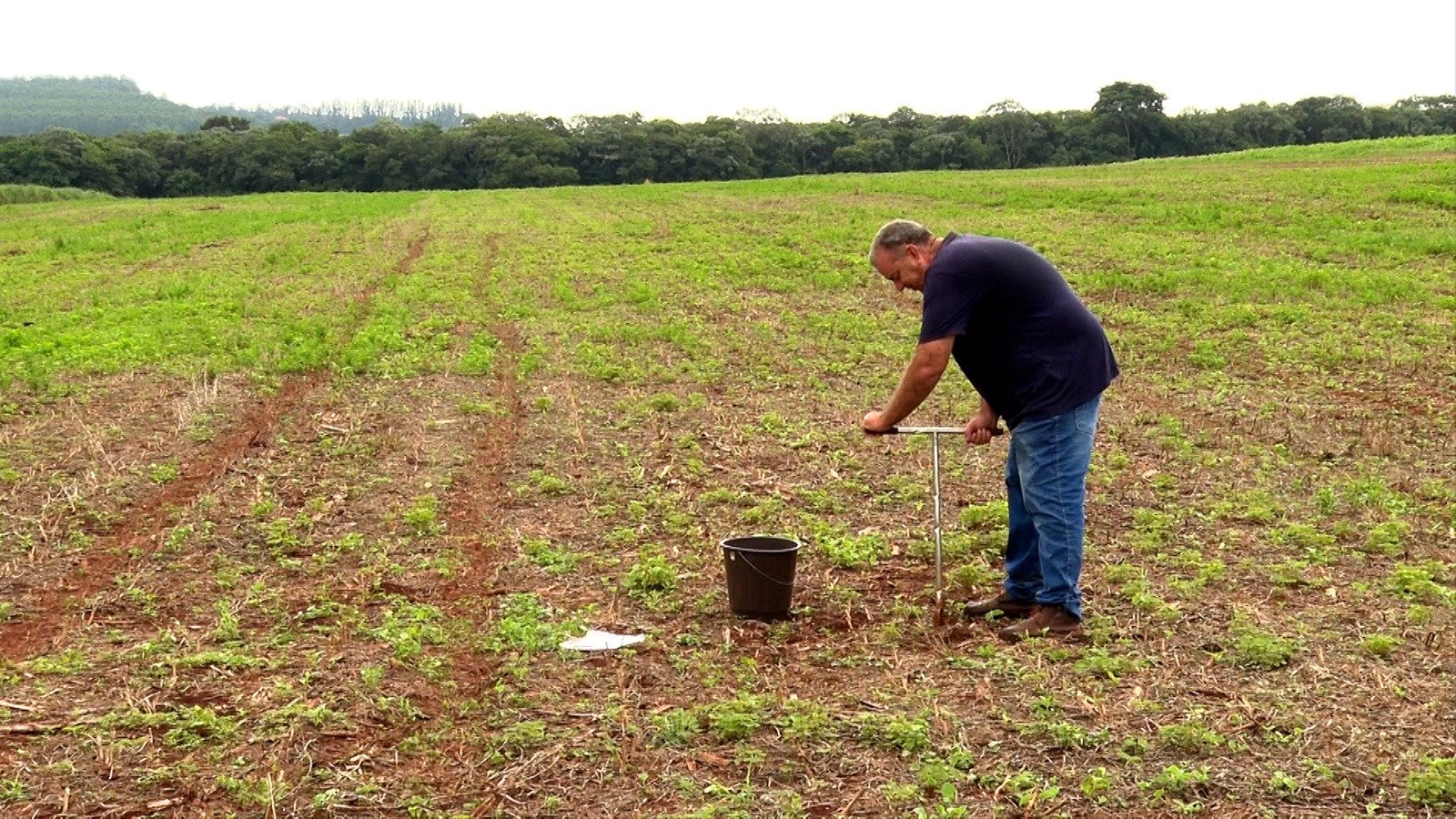 ‘Solo + Fértil’ aumenta a produtividade agrícola em municípios paulistas