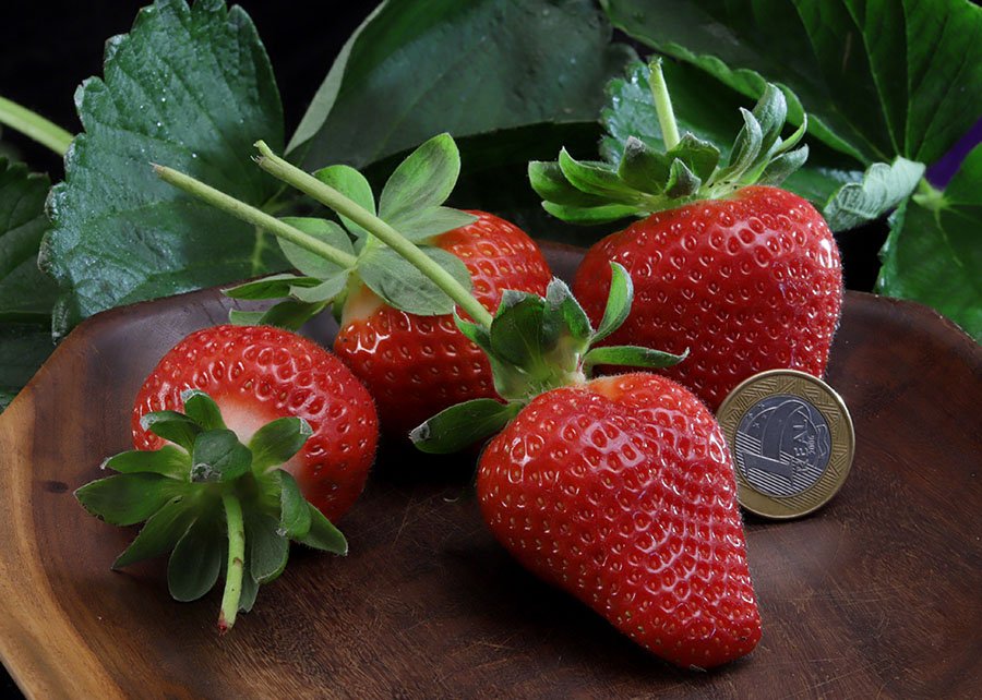 A variedade de morango brasileiro que a Europa quer copiar