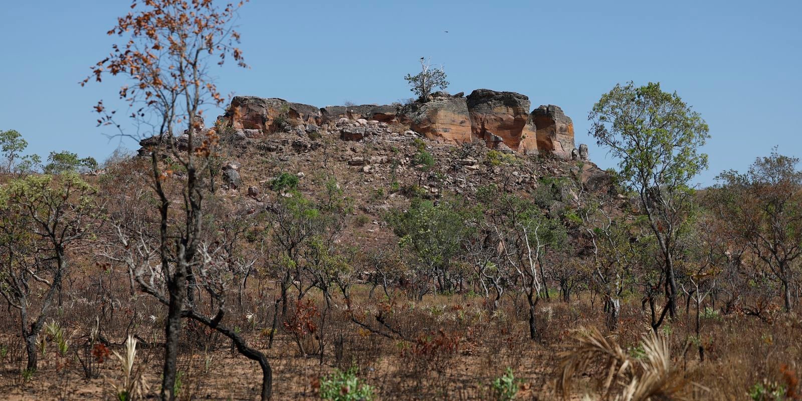 Agro Expande no Cerrado: Agência Brasil Revela Impacto no Coração Hídrico do País