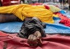 MP Questiona Lesões em Mortos de Operação Letal no Rio