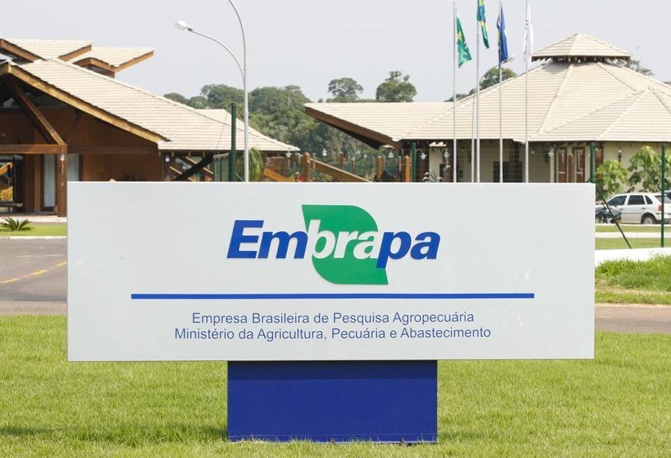 Embrapa: Investimento de R$ 1 Gera Retorno de R$ 17, Aponta Estudo