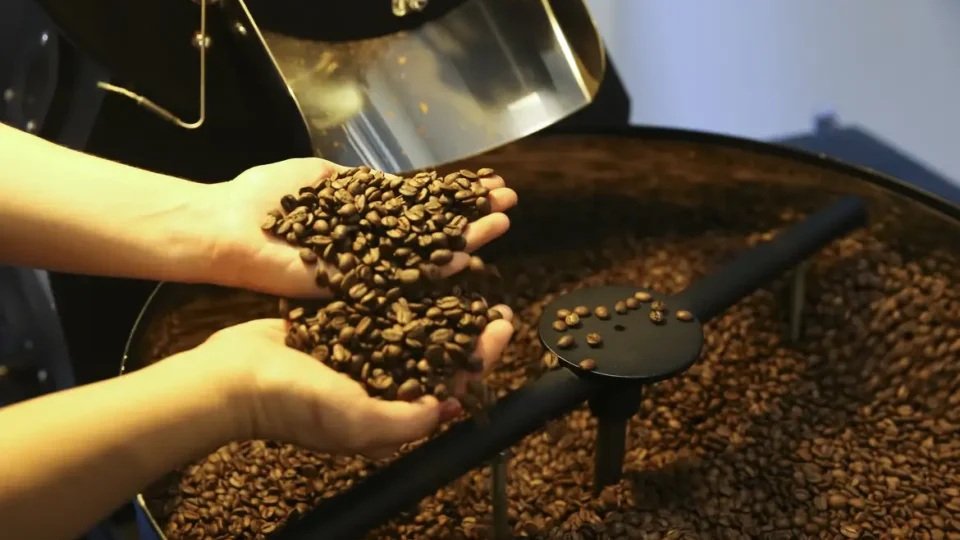 Brasil Amplia Exportações: Café, Carnes e Laranja Lideram Alívio Tarifário