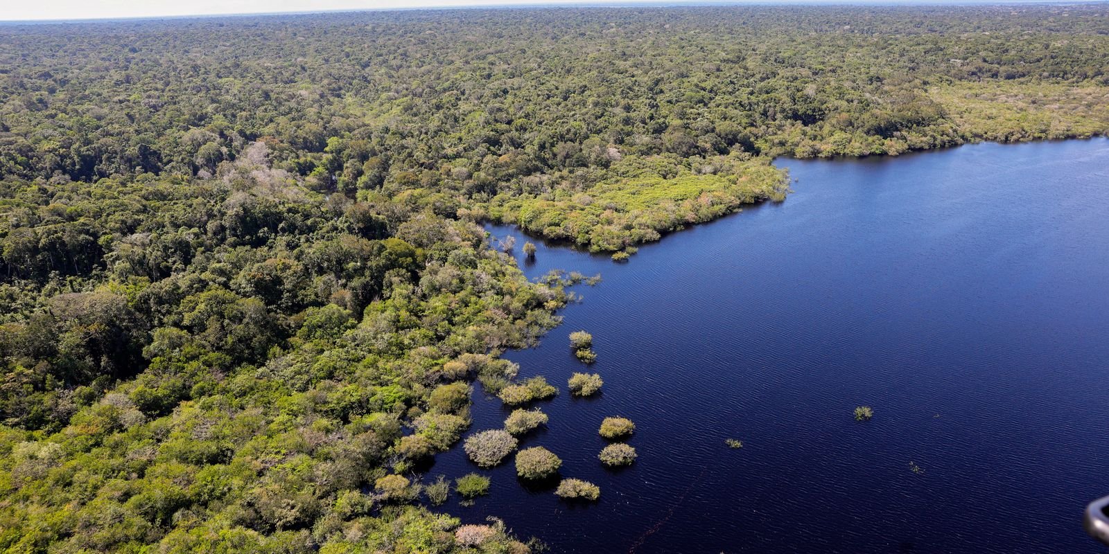 COP30: Leilão bilionário impulsionará projetos sustentáveis na Amazônia