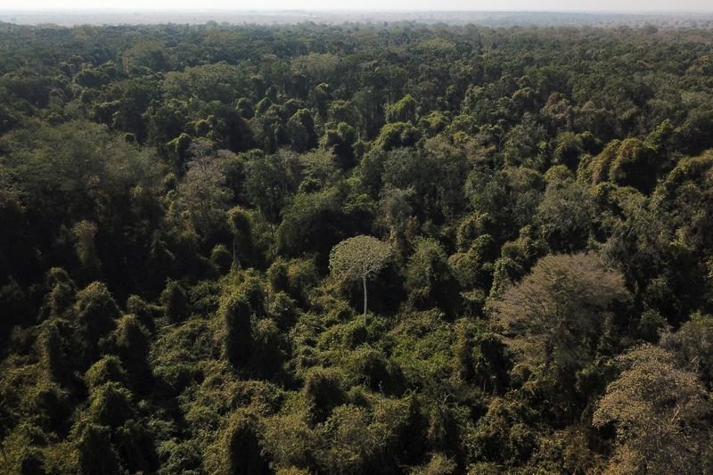 COP30: União Europeia Destina Milhões ao Fundo Amazônia para Ações Sustentáveis
