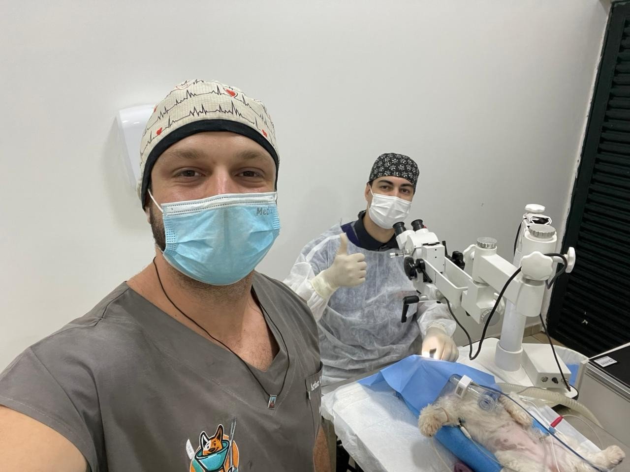 Medicina Animal Avança: Tratamentos Específicos e Transplantes para Pets em Expansão