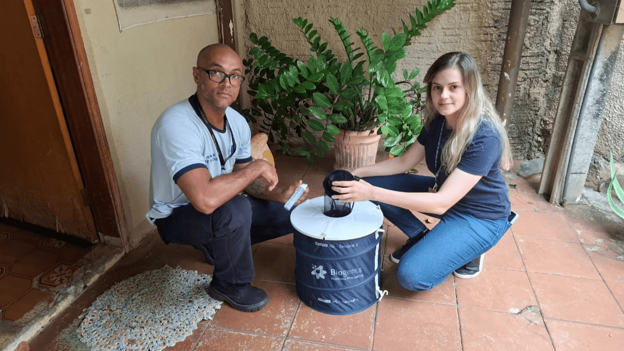 Armadilhas de captura do mosquito Aedes começam a ser instaladas em Rio Preto