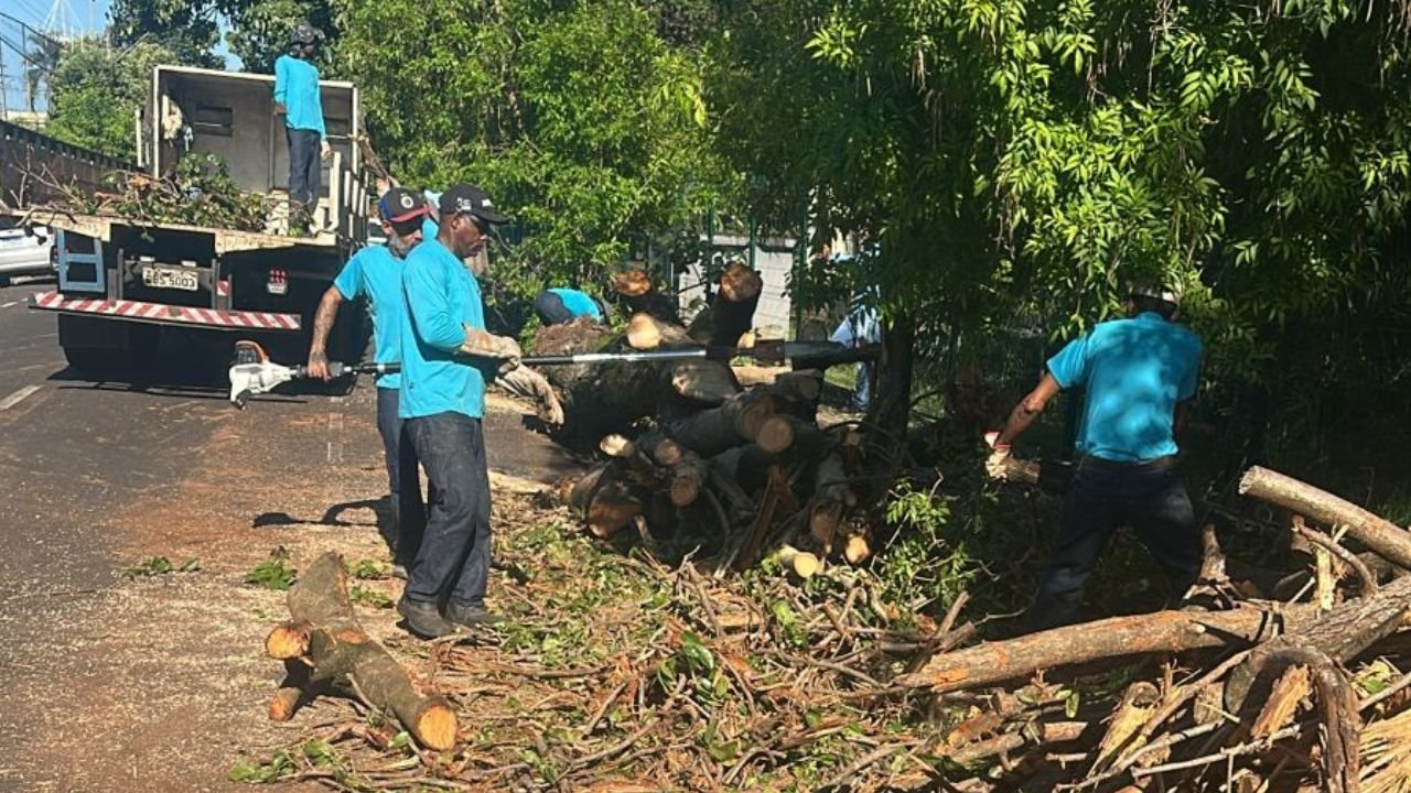 Defesa Civil e Serviços Gerais fazem rescaldo das chuvas em Rio Preto