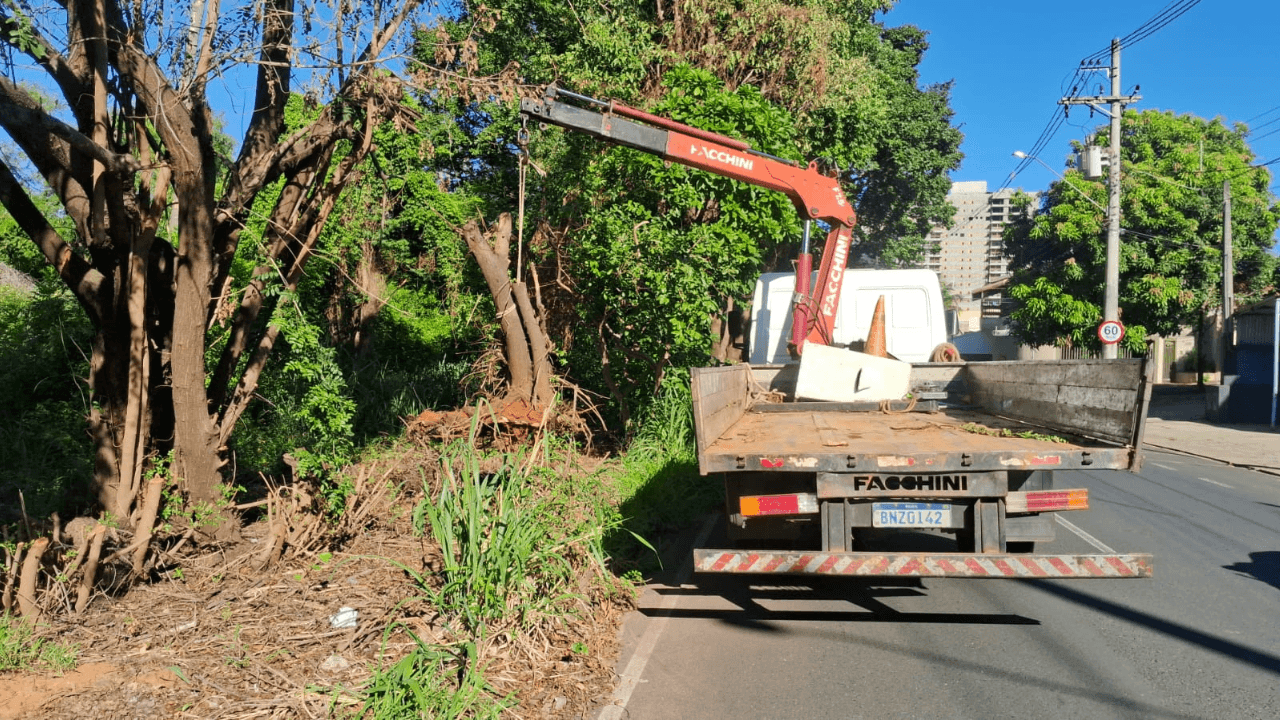 Mutirão da Limpeza recolhe resíduos na véspera de Natal em Rio Preto