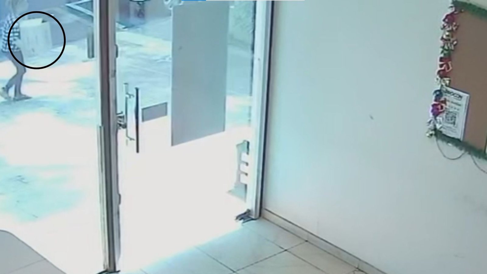 Idosa Presa por Abandonar Filhotes em Frente ao Procon de Rio Preto
