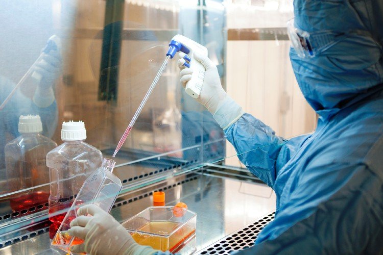 Da bancada à produção em larga escala: os bastidores da saga científica e industrial da vacina da dengue