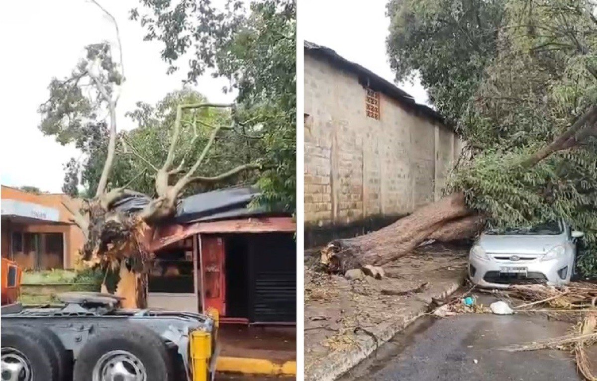 Chuva Forte e Ventania Causam Destruição em Ilha Solteira