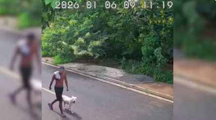 Suspeito que abandonou pit bull após ser encontrado em terreno é identificado