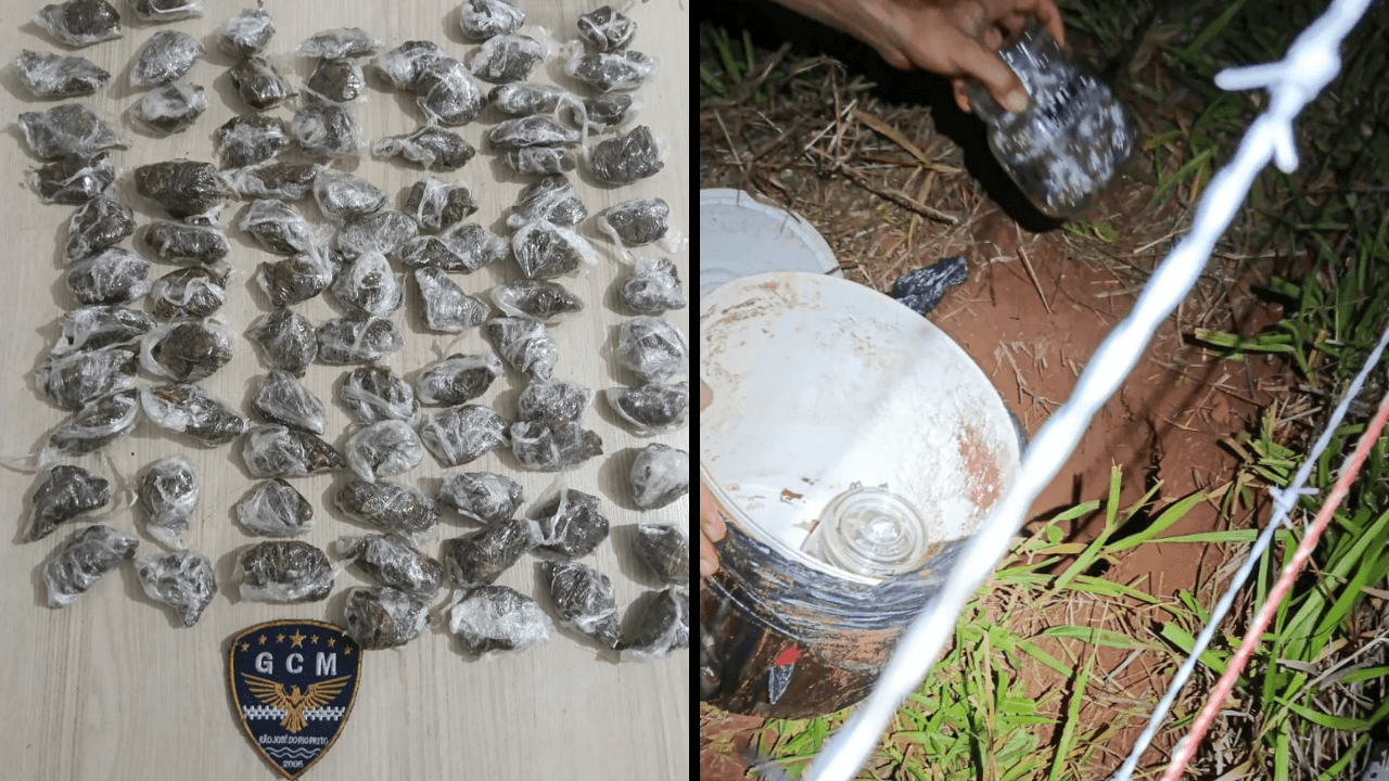 Droga enterrada em área de pasto no bairro Setvalley é apreendida pela GCM