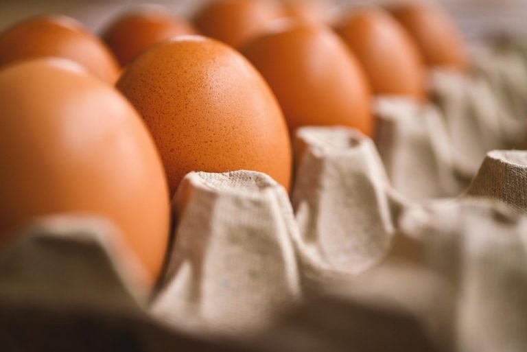 Produção de ovos em SP cresce 7%, e faturamento chega R$ 7,2 bilhões em 2025
